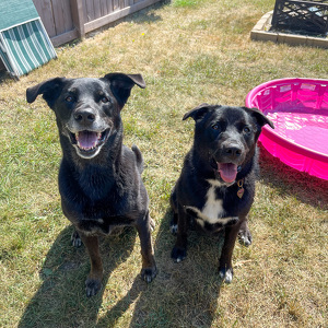 Tara & Kaylee Maslowsky